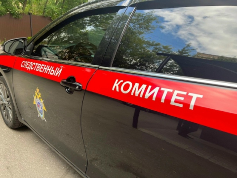Подозреваемого в убийстве ребёнка и женщины задержали в Ленобласти 
