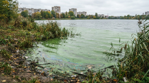 В Калининграде Верхнее озеро третий месяц остаётся загрязнённым 