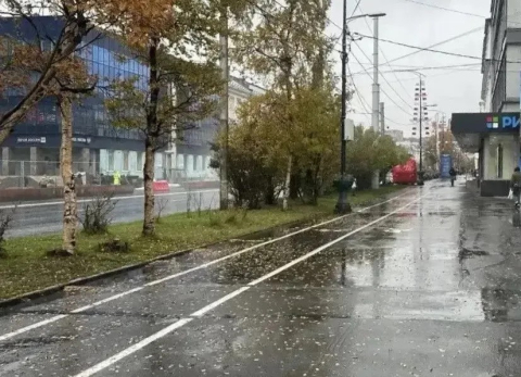 Пешеходную зону у «Дома торговли» обновят в Мурманске 