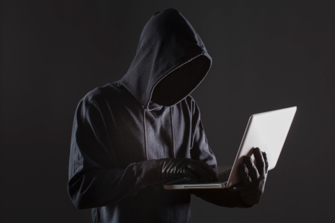 В Мурманской области доля IT-преступлений выросла почти до 50% 