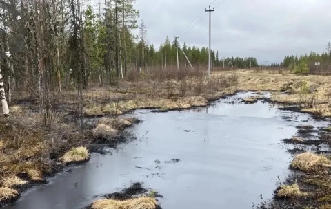 Ущерб природе: в Коми из трубопровода вылилось 5 кубометров нефти 
