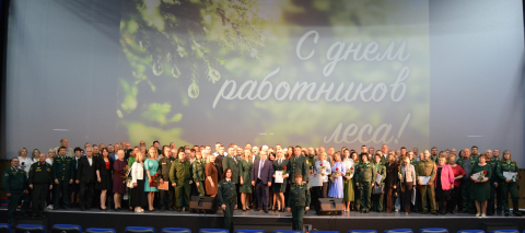 8 тысяч гектаров леса ежегодно восстанавливают в Смоленской области 