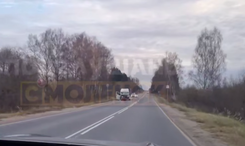 Под Духовщиной автомобиль сбил коня 