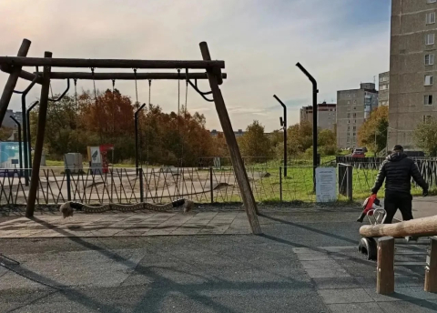 Детские площадки на трех улицах привели в порядок в Мурманске 