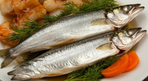 О повышающем работоспособность продукте рассказали нижегородцам 
