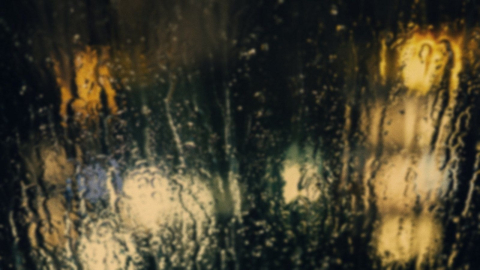 Строительная площадка морского курорта на побережье Балтики, общий план к региональной новости 
