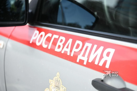 В Каменске‑Уральском росгвардейцы задержали водителя, сбившего байкеров 