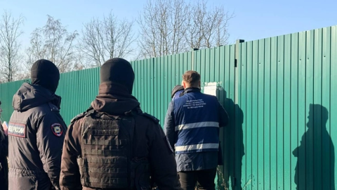 Власти Петербурга выясняют, кто постоянно живёт на огородах у Взлётной 