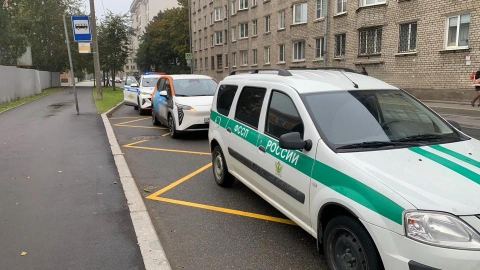 Должник по алиментам на 1 млн рублей пойман за рулём каршеринга в Петербурге 