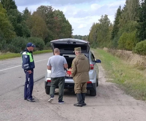 В Смоленской области досматривают автомобили в охотничьих угодьях 