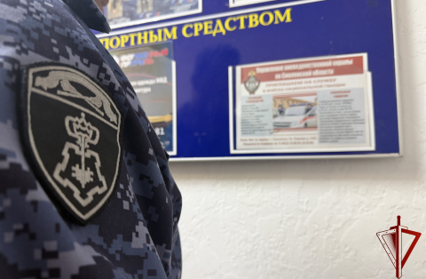 Смоленские росгвардейцы пресекли более 70 нарушений за неделю 