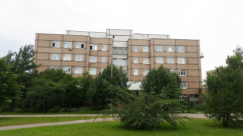 В Калининграде на улице Фрунзе спилили 11 деревьев при реконструкции сквера 