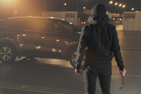 В Петербурге задержали подозреваемых в краже автомобилей на 19 млн 