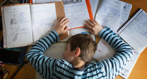Учителя не вправе задавать домашнее задание на осенние каникулы 