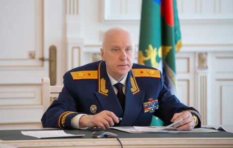 Бастрыкин запросил доклад по делу об изъятии детей у нижегородки 