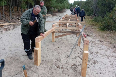Деревянный настил экотропы среди песчаных дюн на Куршской косе в Калининградской области 