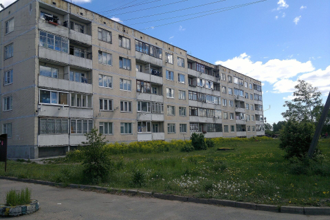 Длинная пятиэтажка из серых панелей с балконами, перед домом газон с одуванчиками 