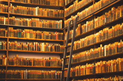 Высокие стеллажи со старыми книгами и деревянная лестница в библиотеке 