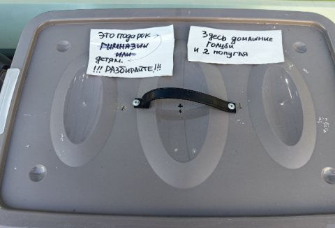 В центре Петербурга у ТЦ нашли контейнер с мертвыми птицами 