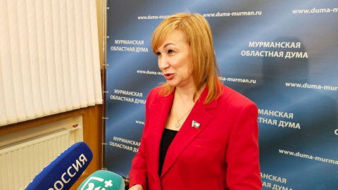 Дубовой: поддержка новых проектов заработает по всей Мурманской области 