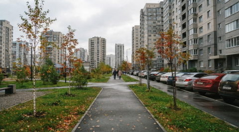 Двор новых жилых высоток: газон, дорожка, молодые деревья и парковка вдоль домов 