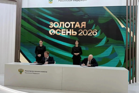 Сельскохозяйственные поля и портовые краны в Калининградской области для темы экспорта продукции АПК 