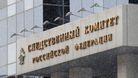 Бастрыкин поручил проверить отлов бродячих собак в Мурманске

 