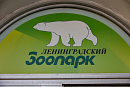 Ленинградский зоопарк устроил квест для юных натуралистов 
