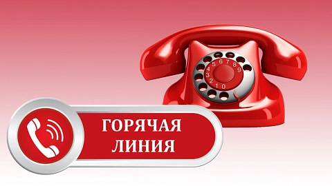 Прокуратура Мурманской области, горячая линия по отоплению