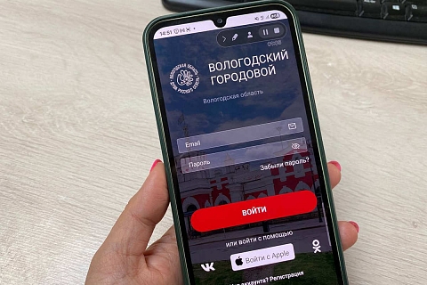 Вологжане получили новый сервис для обратной связи — приложение «Городовой»